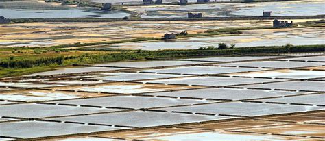 Piranska Sol | Local Salt From Piran, Slovenia