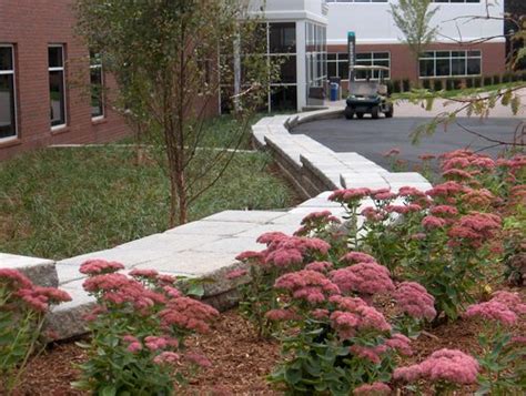 Springfield College Blake Arena Stephen A Roberts Landscaping