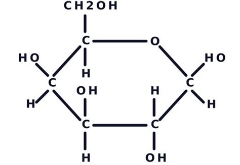 Carbohydrate Diagram Structure