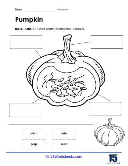 Pumpkins Worksheets 15