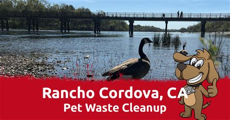 Rancho Cordova CA Pet Waste Removal Doo Doo Squad