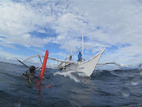 Diving in Donsol, Philippines – DivingmoreDivingmore