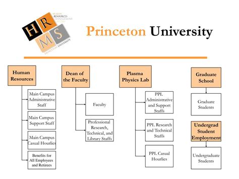 PPT - Princeton University PowerPoint Presentation, free download - ID ...