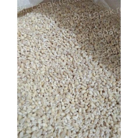 Jual Biji Jali Import Biji Barley Biji Jali Jali Pearl 500gram