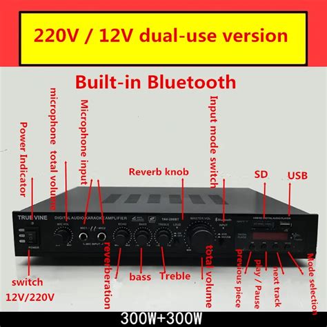 Av-298bt 220v/12v Dual Use 300w+300w Home Audio Karaoke Digital ...