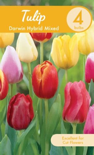 Garden State Bulb Darwin Hybrid Mixed Tulip Bulbs Pk Pick N Save