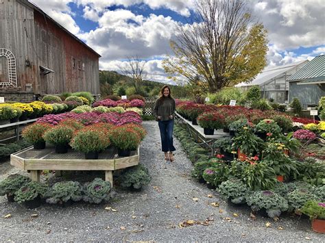 craigs list vermont 1