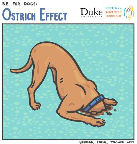 behavioral economics  dogs bi weekly comic series ostrich effect