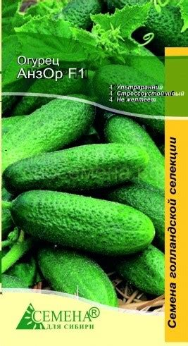 ОГУРЕЦ — Семена для Сибири