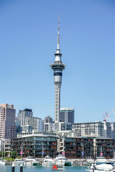 popular animal of new zealand 1
