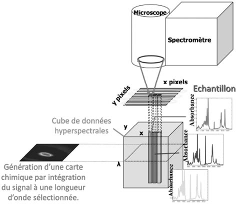 G N Ration D Un Cube De Donn Es Hyperspectrales Pour L Imagerie