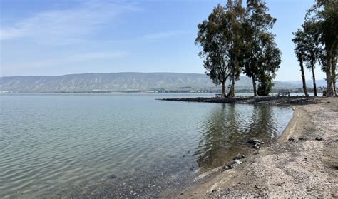 Tour Israel: The many things to do in the Kinneret - Israel News - The ...