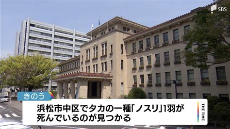 浜松市で死んだ野鳥から鳥インフルエンザ陽性反応 高病原性か遺伝子検査へ＝静岡 Tbs News Dig