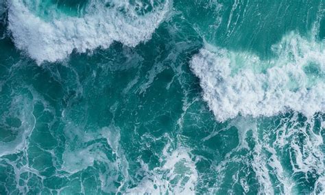 nortek   waves heres