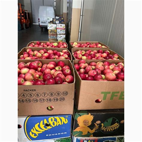 Продам яблока, купити яблока — Agro-Ukraine