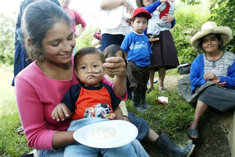 Minsa Espera Reducir A 10 El índice De Desnutrición Infantil En El