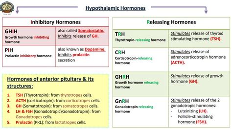 Molecular And Cellular Mechanism Of Action Of Hormones Such As Growth