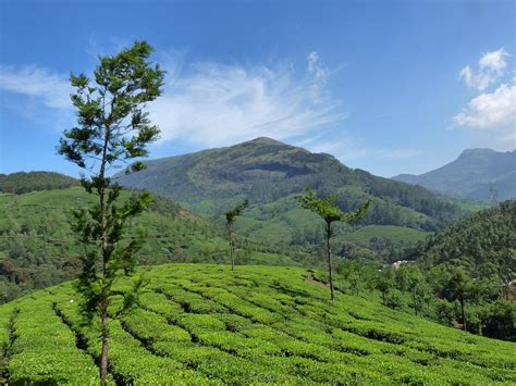 Die Top 30 Sehenswürdigkeiten In Munnar 2024 Mit Fotos