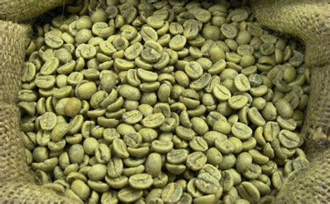 Karemah Green Coffee Beans For Home Grade Premium At 750 Kg In Wayanad