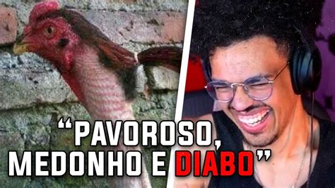 O GALO ASSASSINO ESTÁ FORAGIDO Guto reage ao GALO DE COQUE YouTube