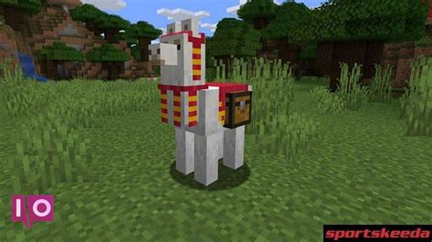 Comment Apprivoiser Et Chevaucher Un Lama Dans Minecraft Moyens I O