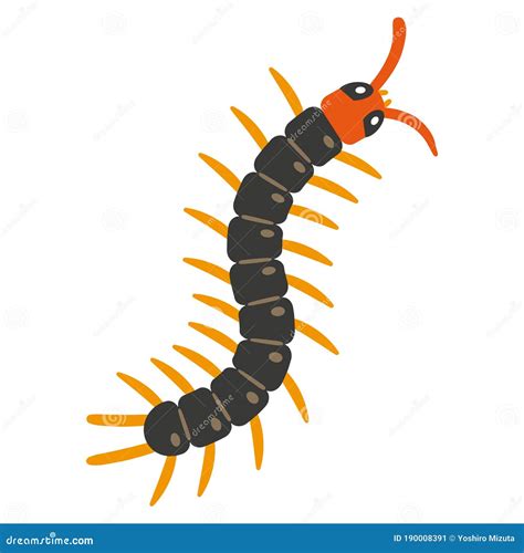 Illustration Of Centipede On White Background Stock Vector