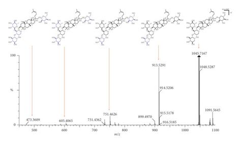LC-MS spectrum and fragmentation pathway of gypenoside XLIX. | Download ... 