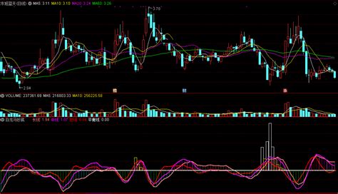 白龙马抄底指标副图 通达信 截图黄柱预见强势白柱预见反弹下载 通达信公式 好公式网