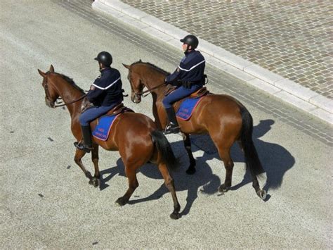 Liste Des Fiches M Tiers De La Gendarmerie Nationale En