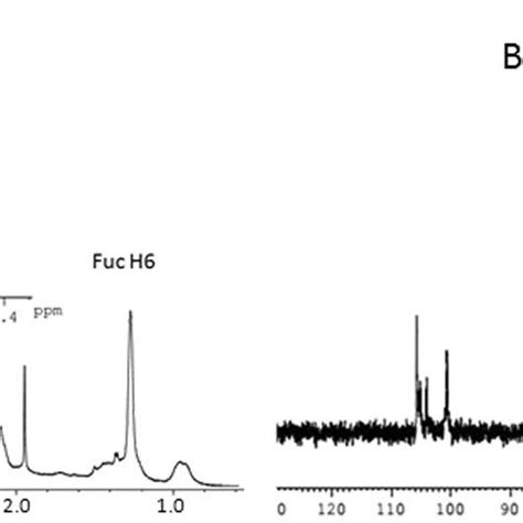 500 Mhz ¹h Nmr And 125 Mhz ¹³c Nmr Spectrum Of Fvpb2 Polysaccharide In