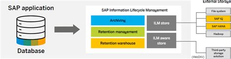 An Ultimate Guide To Knowing All About The SAP ILM Store