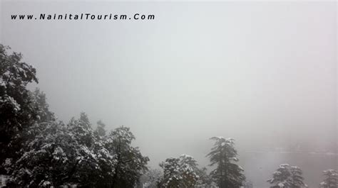 NAINITAL TOURISM - Since 1999 - 3000 + Photos - SNOWFALL | SNOW FALL IN ...