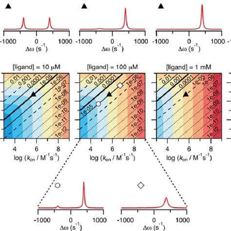 The relationship between binding kinetics and ligand concentration. The ...