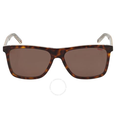 Hugo Boss Brown Square Mens Sunglasses Hg 1003s 0krz70 56 716736078007 Sunglasses Jomashop