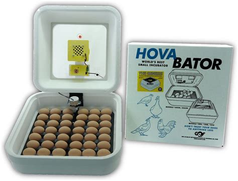 Hovabator Genesis 1588 Advanced Egg Incubator Combo Kit Patio Lawn And Garden