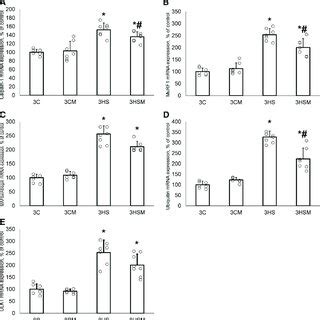 Expression Of Calpain 1 A Muscle Specific RING Finger Protein 1