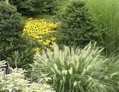 Правила создания цветников в саду: пошаговая инструкция