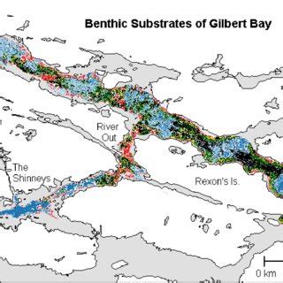 Benthic substrate map for entire bay. Phase III mapping efforts focused ... 