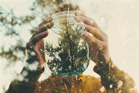 Una Persona Sosteniendo Un Frasco Con Una Planta Dentro Foto Premium