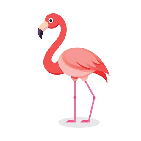 Premium Vector Flamingos Flat Vector Illustration On White Background