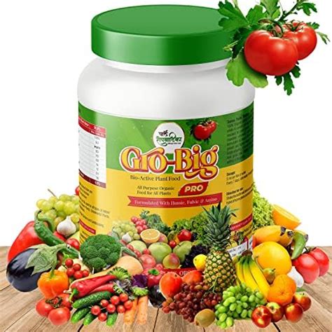 Gro Big Plant Nutrients Organic Soluble Fertilizer Flower Vegetable