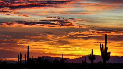 New Years Eve In Arizona Photograph By Saija Lehtonen Fine Art America