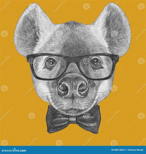 Portrait Of Hyena With Glasses And Bow Tie Stock Illustration Illustration Of Character