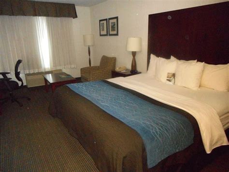COMFORT INN & SUITES PORTLAND INTERNATIONAL AIRPORT - Hotel Reviews (OR)