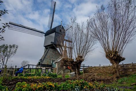 Kinderdijk Windmills : A UNESCO Heritage Site