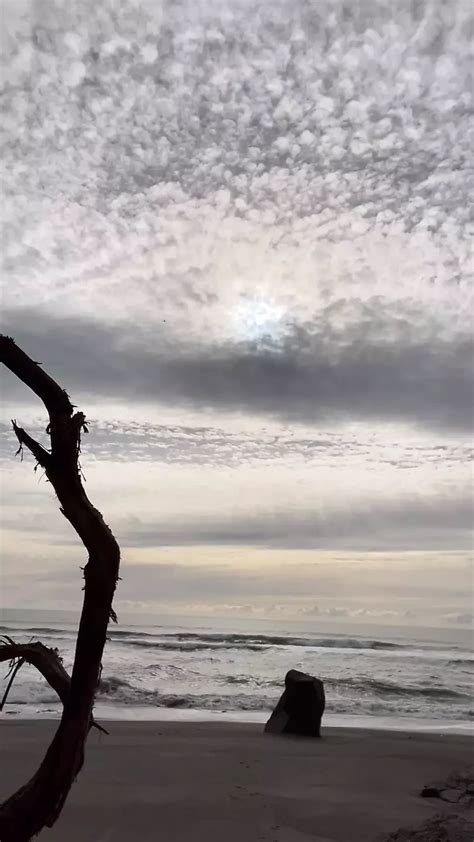 Swimming At The Nude Beach Enjoying Ocean Naked Gay Porn Feat Beach Scavenger Xhamster