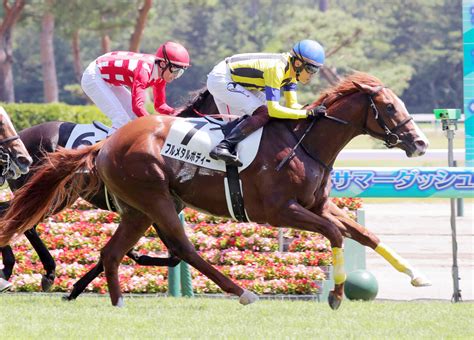 【注目馬動向】母ザレマの良血馬フルメタルボディーはききょうsでデビュー2連勝を狙う Umatoku 馬トク