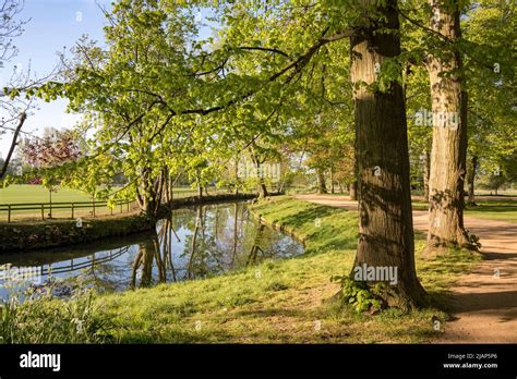 Spring View Of The River Cherwell Christ Church Meadow Oxford Uk