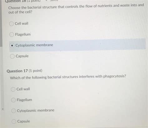 Solved Question 16 (1 Choose the bacterial structure that | Chegg.com