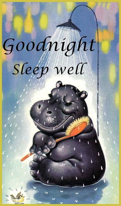 Good Night Hippo